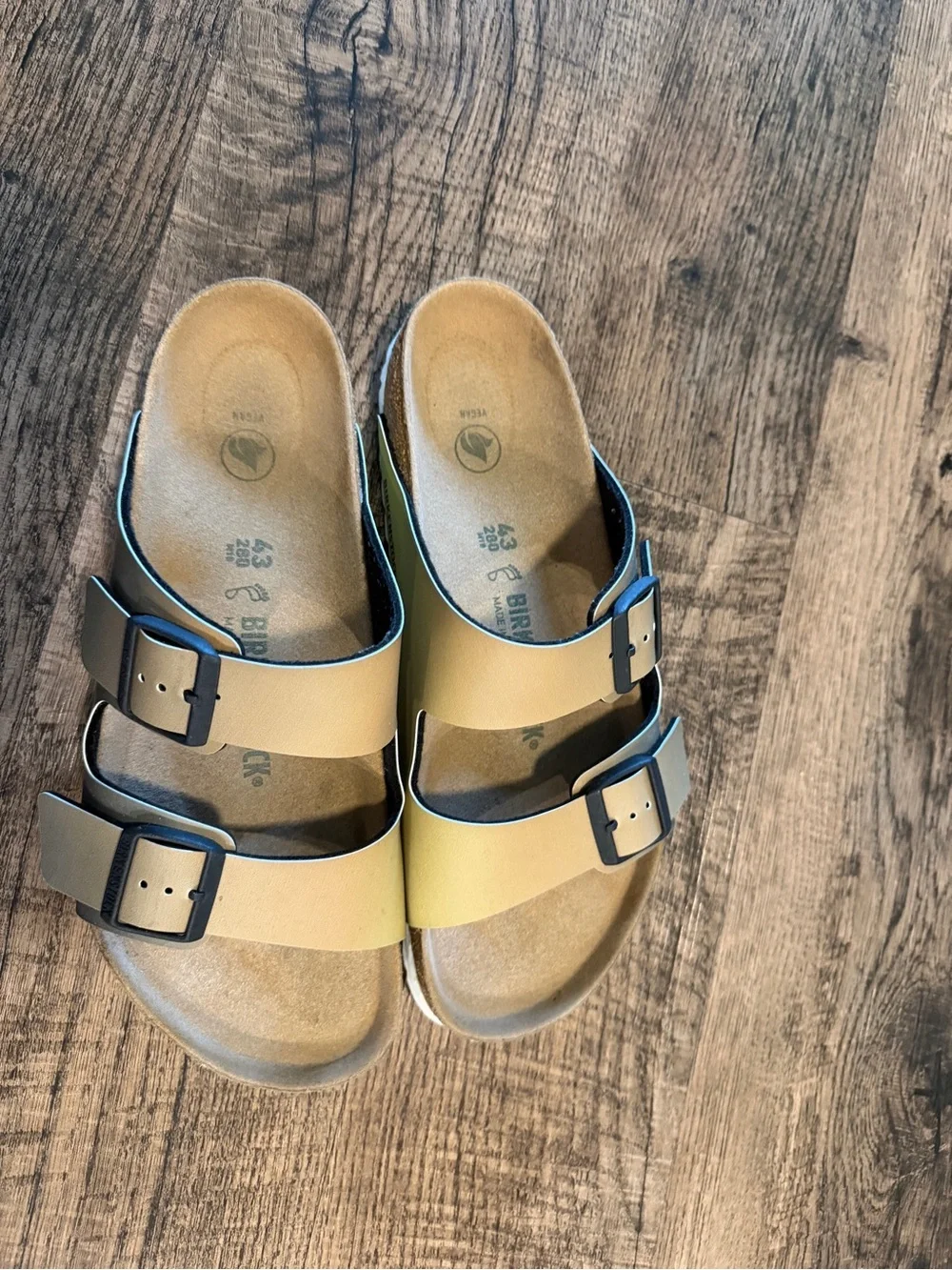 Birkenstock Men’s Two-Strap Sandals in Tan and green